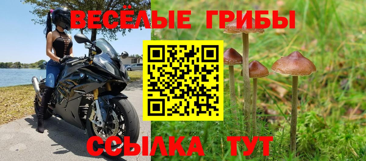 Псилоцибиновые грибы Magic Shrooms  Псилоцибиновые грибы прущие грибы  Вход с VPN  Ковров 